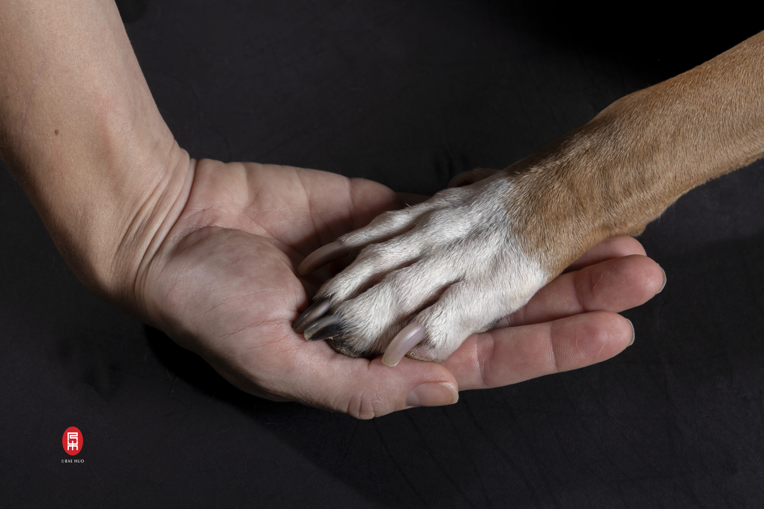 LILLIANNA09142025011